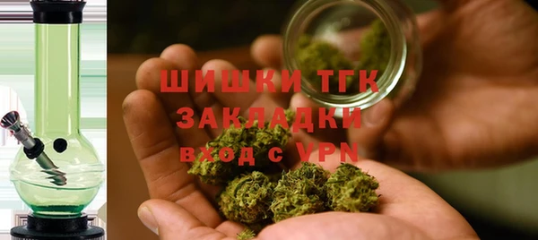 дживик Абаза