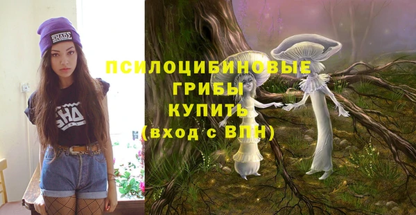 не бодяженный Абдулино